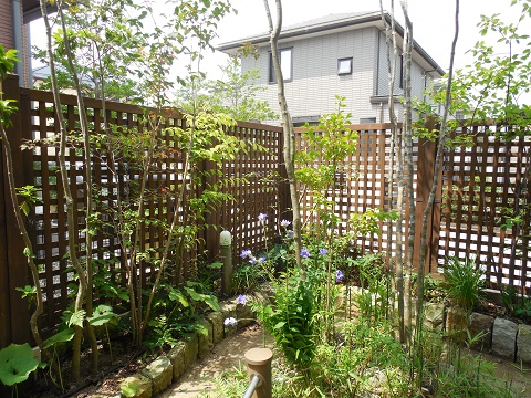 三田市のお庭のメンテナンス
