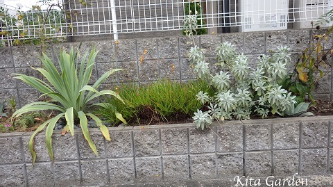 伊丹市のロックガーデン風植栽の花壇