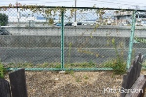 伊丹市のディスプレイガーデン