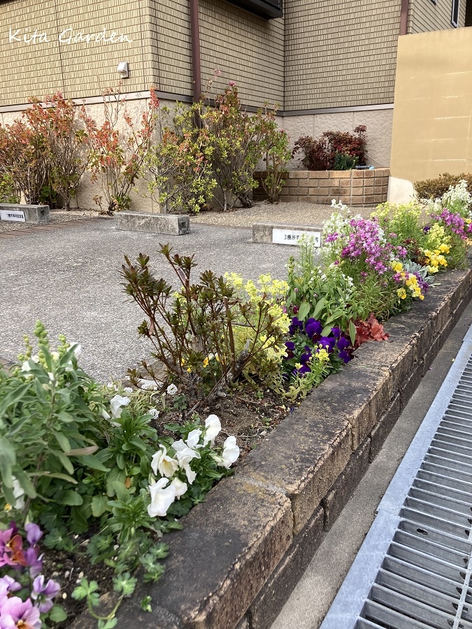 伊丹市のクリニックの植栽メンテナンス