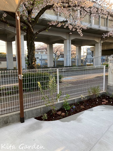 伊丹市K様邸のナチュラルな植栽の庭