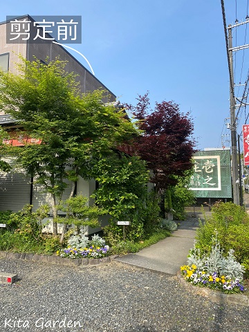 京都の庭の剪定メンテナンス