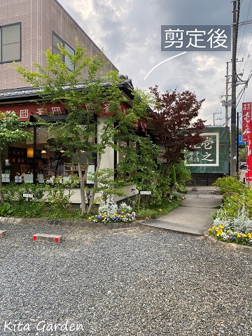 京都I様邸の庭のメンテナンス