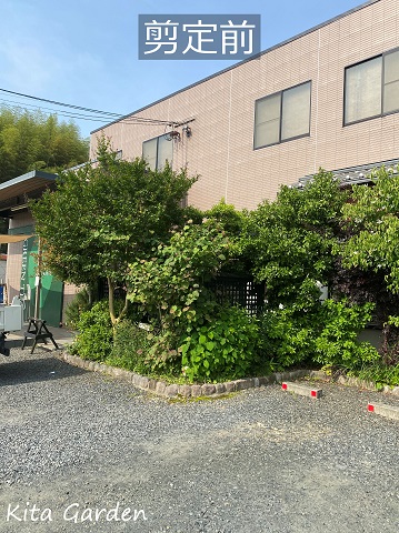 京都府でのお庭の植栽メンテナンス