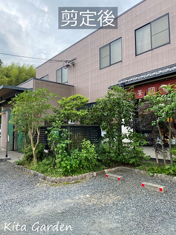 京都府I様邸の剪定メンテナンス工事