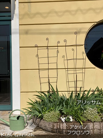 宿根草などを植えた花壇