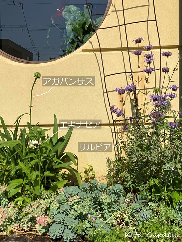 西宮市の花壇の植栽メンテナンス