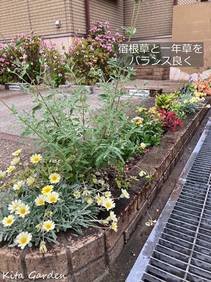 伊丹市の病院の植栽メンテナンス工事