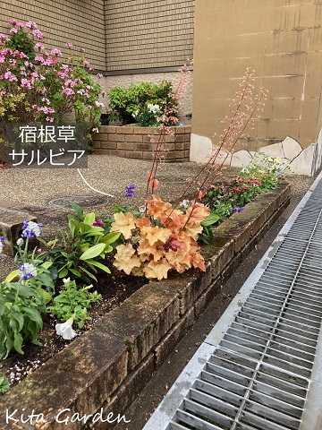 伊丹市のクリニックの花壇のメンテナンス