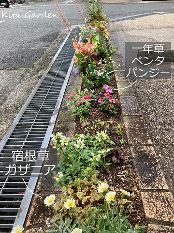 伊丹市のお花の植え替え工事