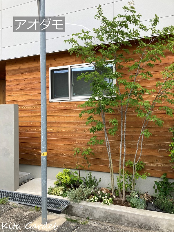 宝塚市の植栽メンテナンス工事