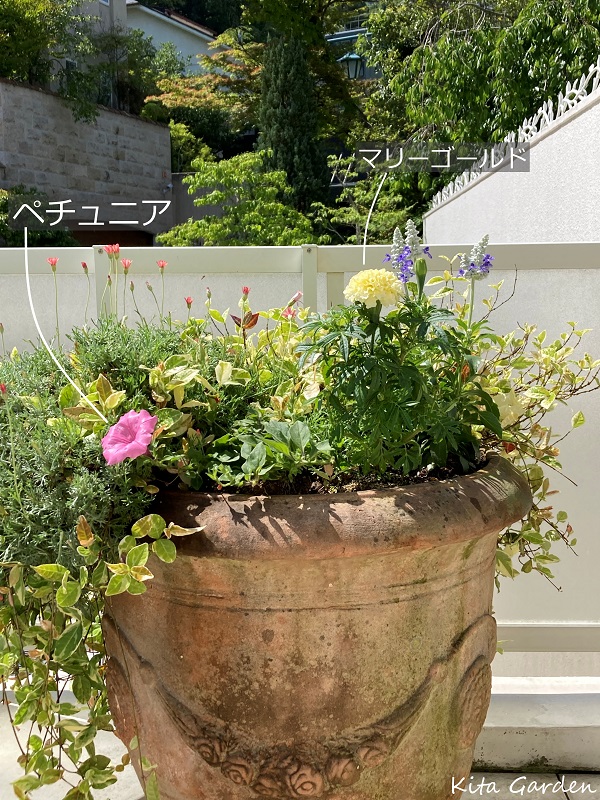 芦屋市N様邸の花の植え替え工事