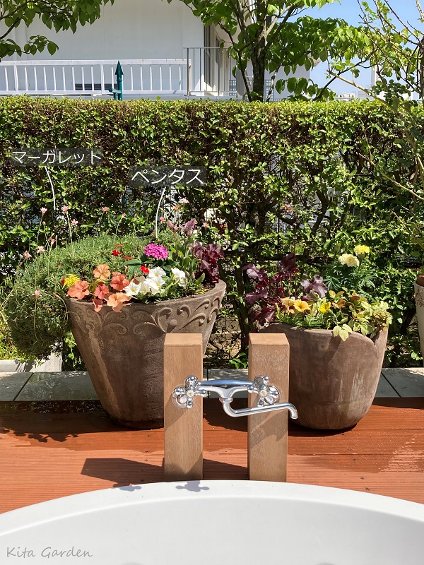 芦屋市の花の植え替えメンテナンス