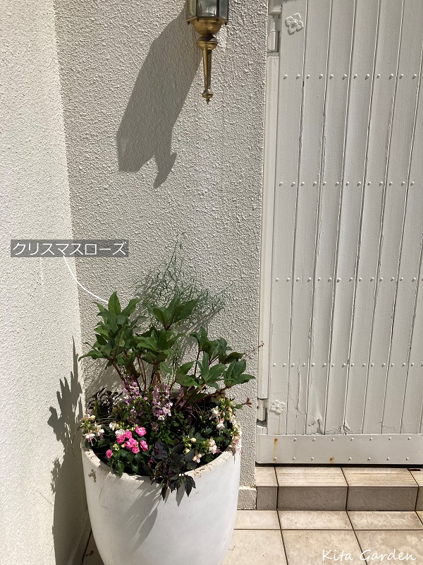 芦屋市のお花と植栽のメンテナンス