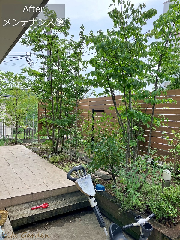 吹田市の剪定後のお庭