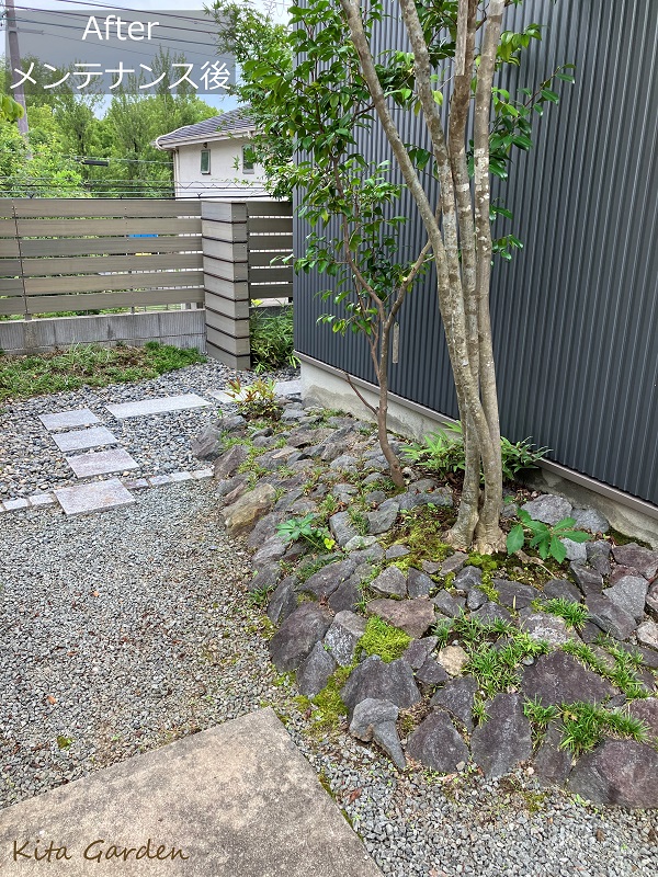 吹田市での植木の剪定工事
