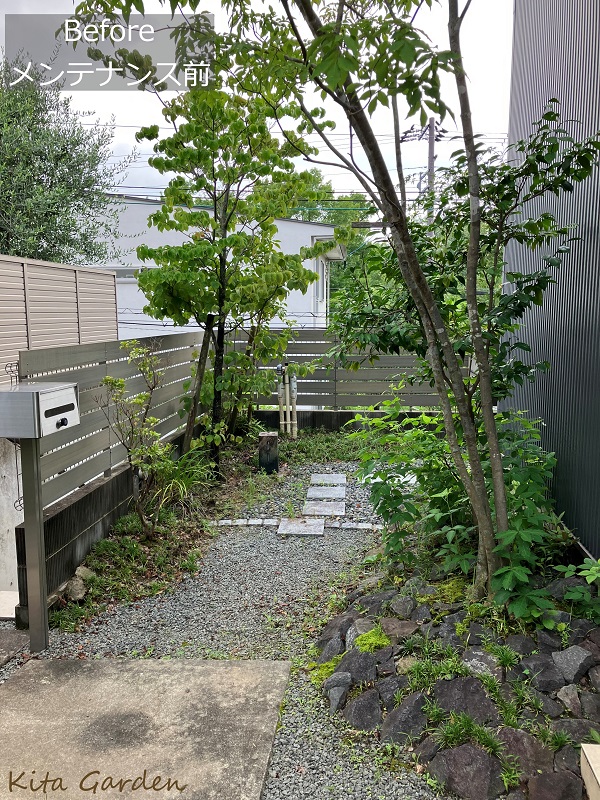 吹田市での植木の剪定工事