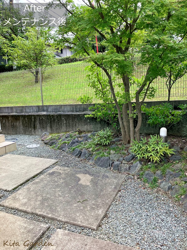 吹田市での植木の剪定工事