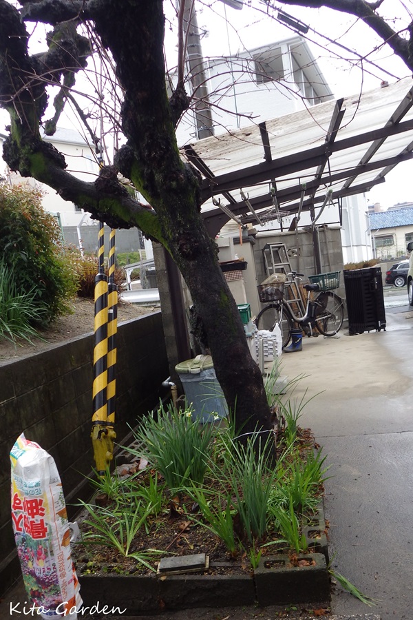 吹田市の外構リフォーム工事
