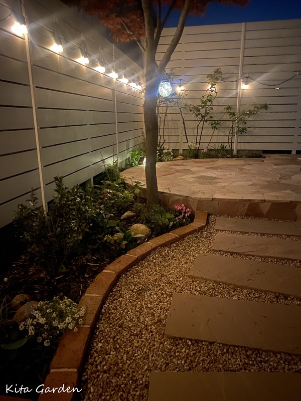 ライトアップした夜の庭