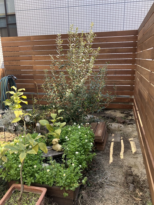 お庭の目隠しウッドフェンス