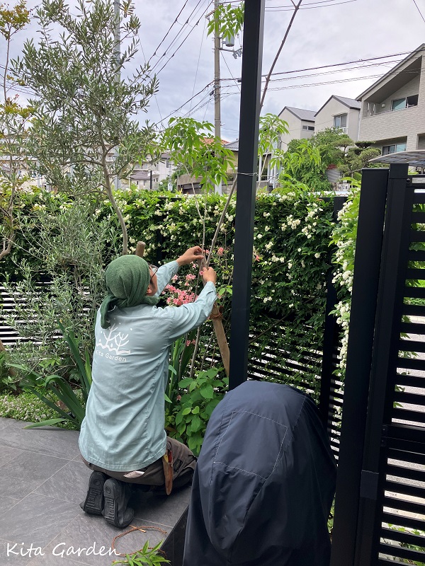 吹田市の庭のメンテナンス工事