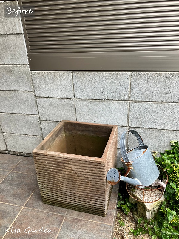 玄関前のコンテナの花の植え替え