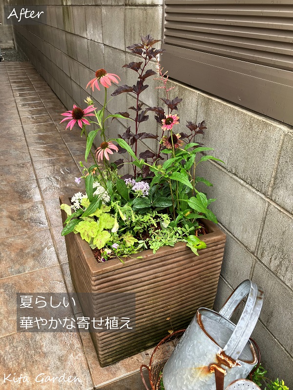 夏の寄せ植えコンテナ