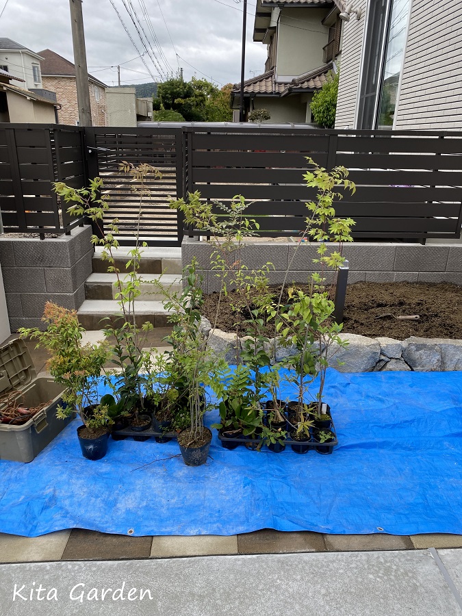 おすすめの植栽スタイル