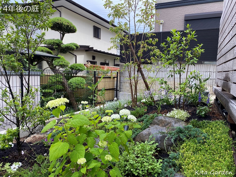 高槻市O様邸の自然な庭