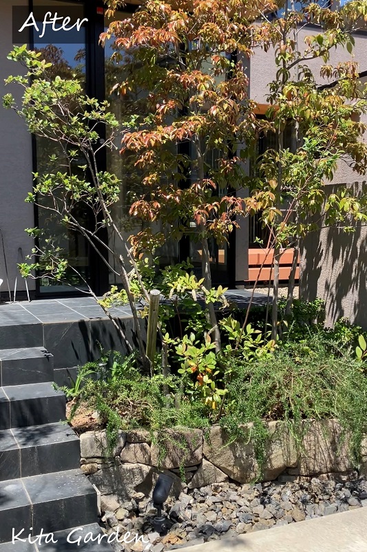 西宮市の植木の剪定工事