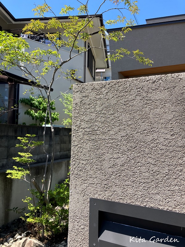 西宮市の庭木のメンテナンス工事