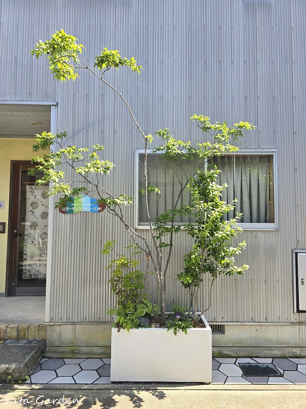 箱庭ガーデン
