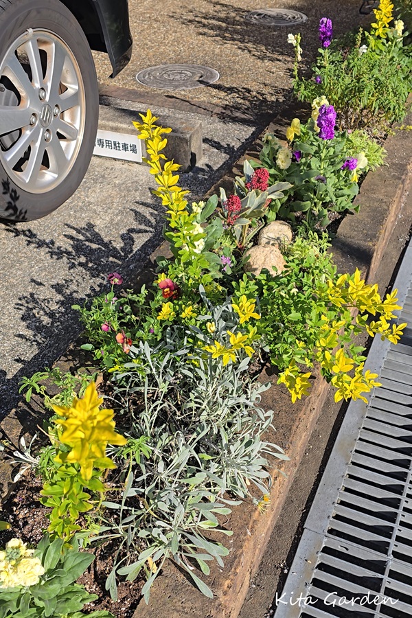 伊丹市での花壇の植え替え工事