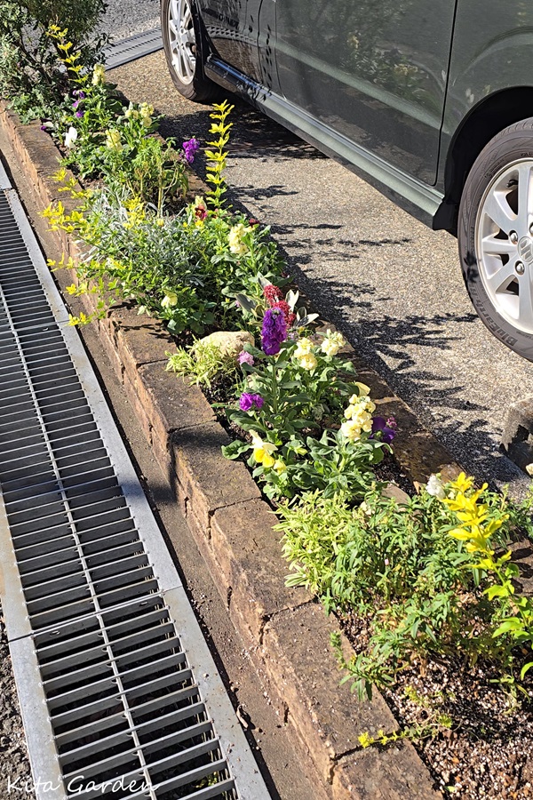 伊丹市での花の植え替えメンテナンス工事