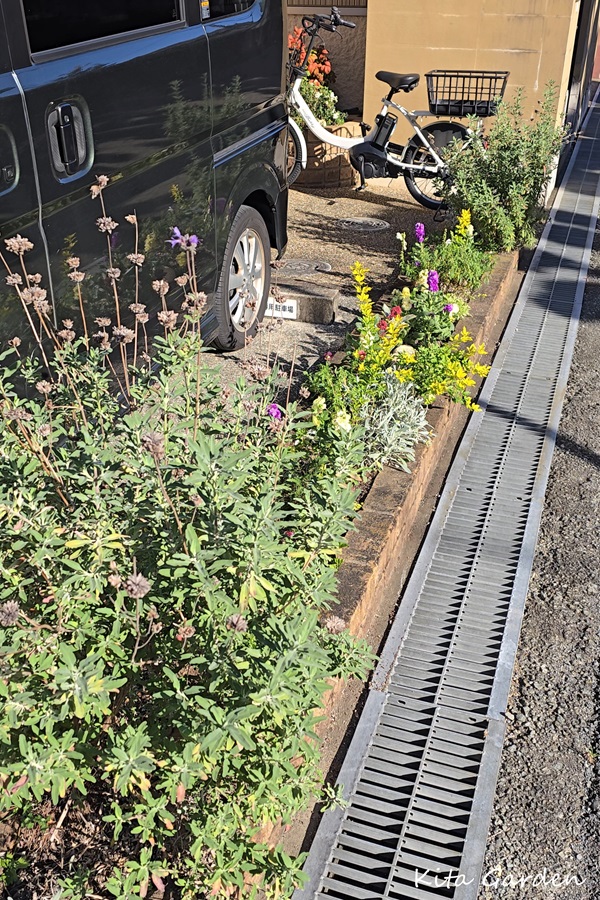 伊丹市の診療所での花の植え替え工事