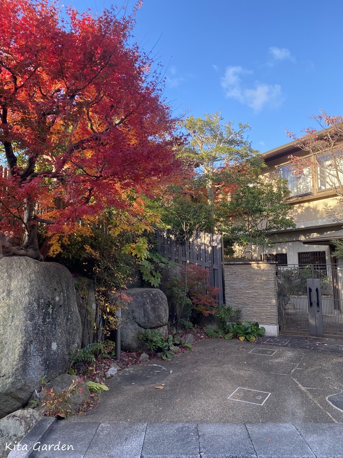 兵庫県芦屋市の植栽メンテナンス工事