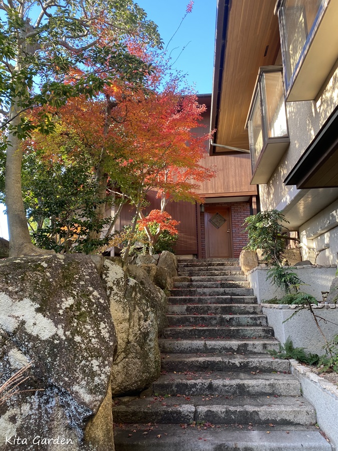 芦屋市の庭メンテナンス工事