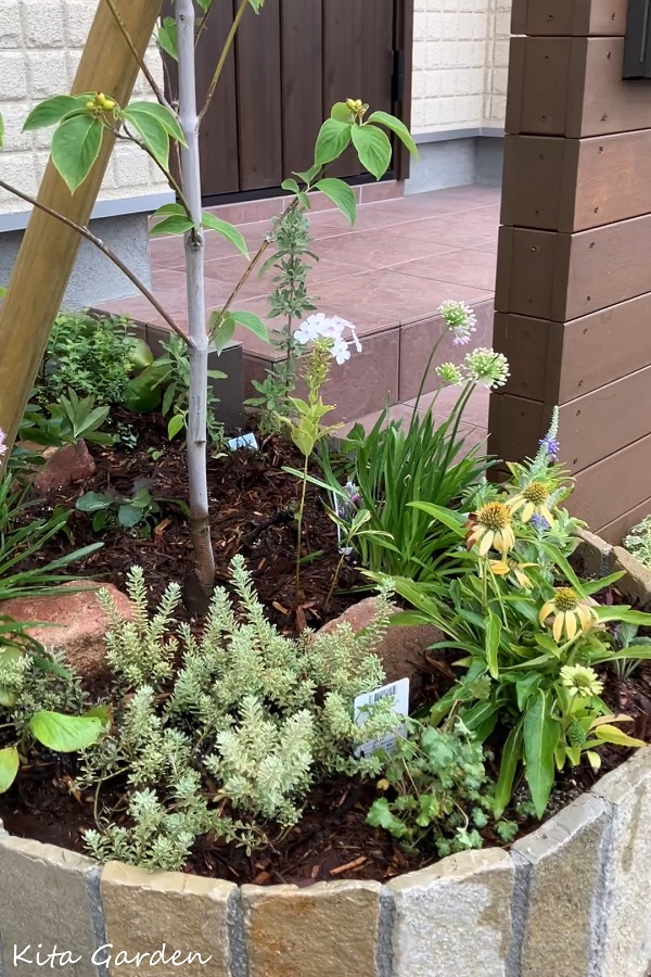 玄関横に作った石の花壇と植栽