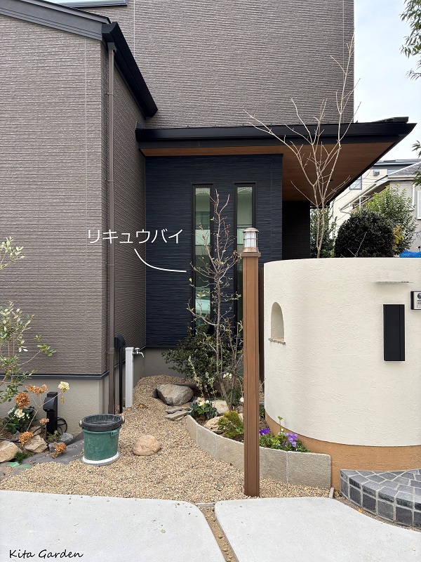伊丹市新築外構の植栽工事