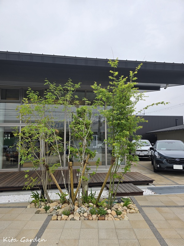 奈良スバルショールームの植栽工事