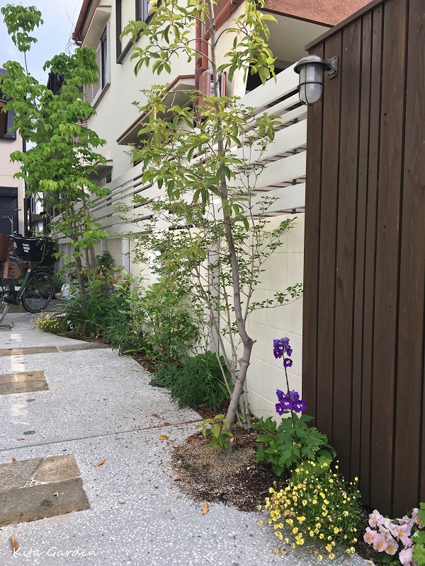 伊丹市で施工した洗い出しのアプローチ