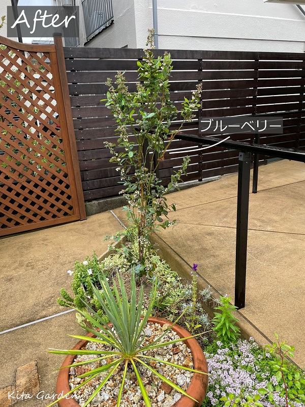 大阪茨木市での植え替え工事