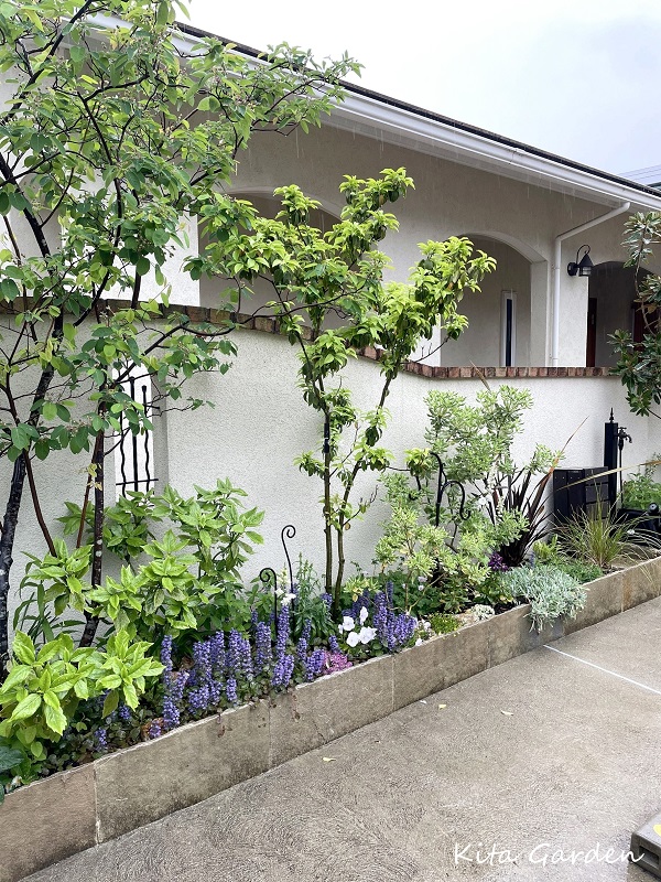 大阪茨木市でのお花の植え替え工事