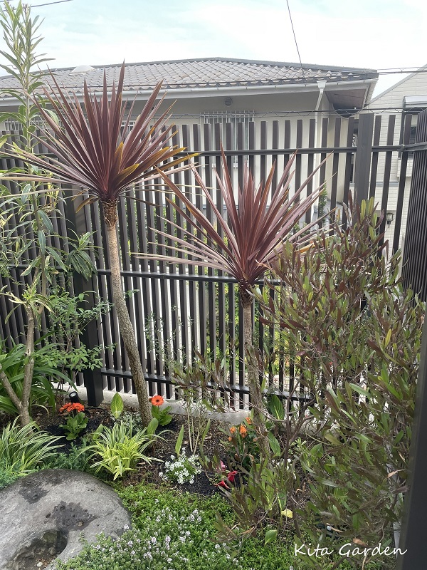 神戸市での植栽リフォーム