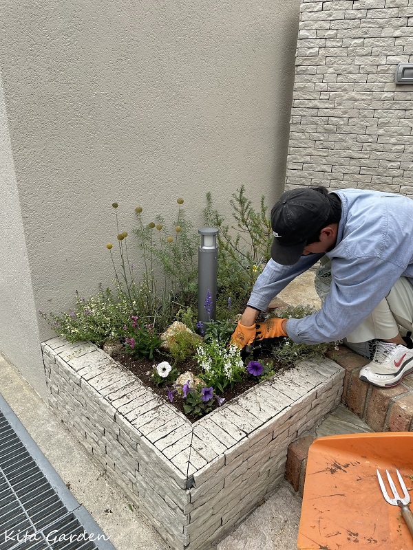 伊丹市でのお庭のメンテナンス工事