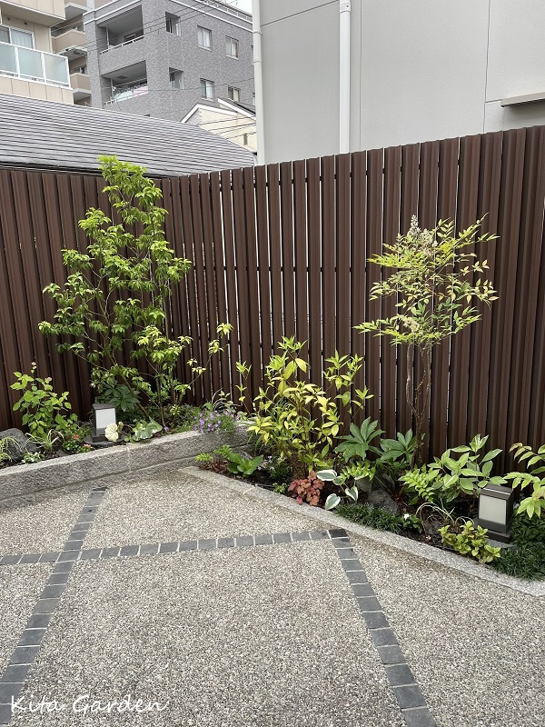 伊丹市での庭のメンテナンス工事