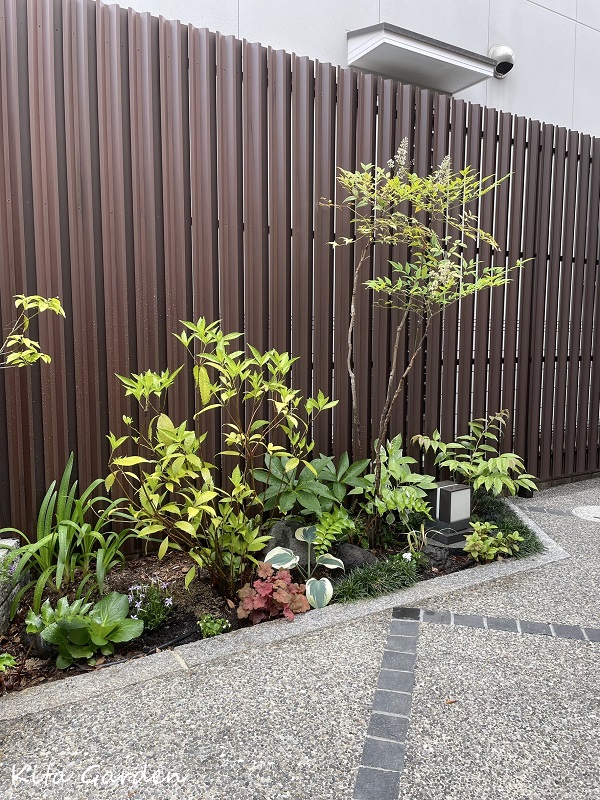 伊丹市での植栽メンテナンス工事