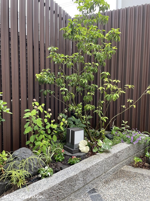 伊丹市での植栽メンテナンス工事