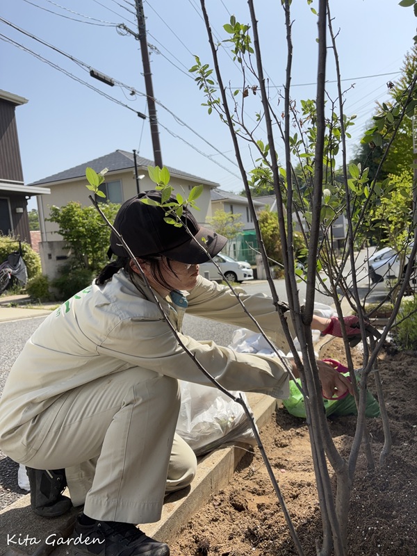 宝塚市の植栽リフォーム工事